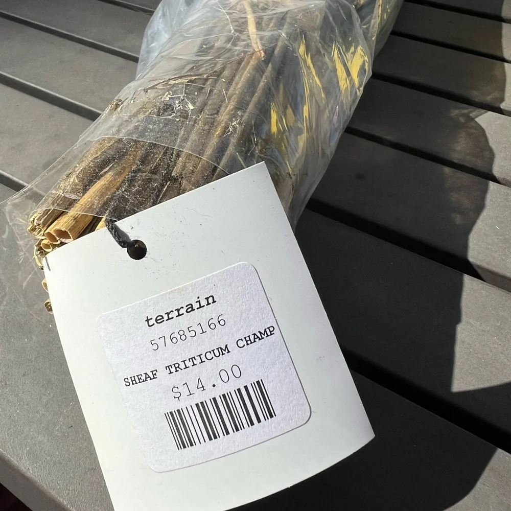 NWT Terrain Sheaf Triticum Champagne Shimmer Bunch 17 inches